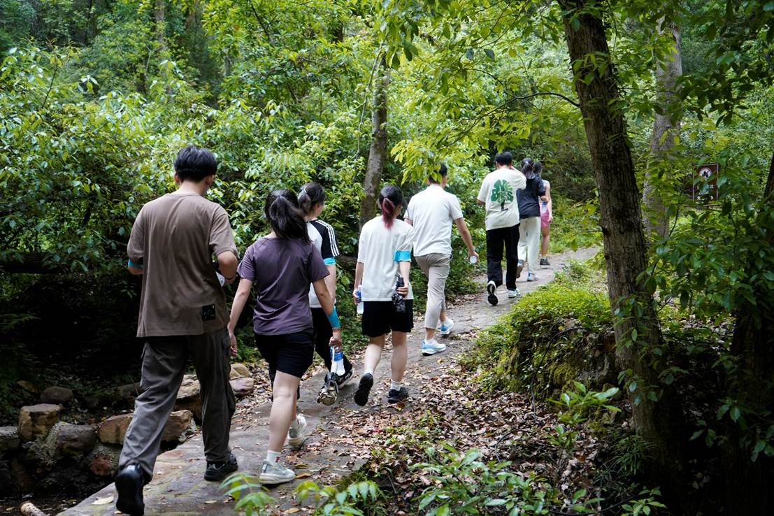 人们走在树林里 AI 生成的内容可能不正确。