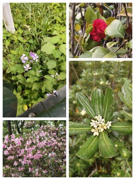 13BC765F458861B7F14D2C9E5FBE0393