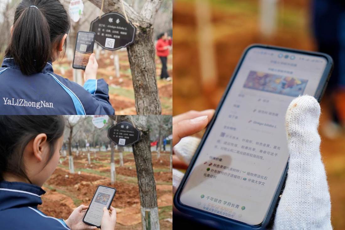 16319051784174493d5b35493d67ab3